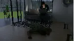 The Interview 💎 АВТОДОСТАВКА STEAM GLOBAL МГНОВЕННО ЛИЦЕНЗИЯ