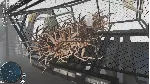✅ Deadliest Catch: The Game Xbox One|X|S активация
