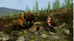 Day of Dragons | АВТОДОСТАВКА [Россия Steam Gift] - irongamers.ru
