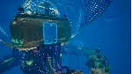 Mythic Ocean (Steam ключ / РФ+Весь Мир) - irongamers.ru