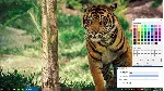 Transparent Taskbar Microsoft Store Windows ПК - irongamers.ru
