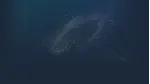 Nocturnal | Steam РУ+UA+KZ+СНГ - irongamers.ru