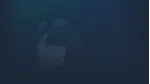 I Did Not Buy This Ticket | Steam РУ+UA+KZ+СНГ - irongamers.ru