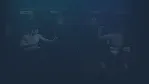 Shaolin vs Wutang 2 | Steam РУ+UA+KZ+СНГ - irongamers.ru