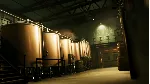 GHOSTBUSTERS: SPIRITS UNLEASHED XBOX ONE|X/S КЛЮЧ - irongamers.ru