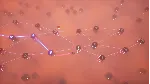 City of Beats (steam key)