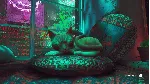 Stray Xbox One & Xbox Series X|S