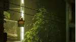 КЛЮЧ | STRAY 😺 (XBOX + PC)