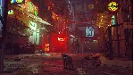 КЛЮЧ | STRAY 😺 (XBOX + PC)
