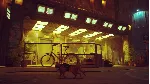 КЛЮЧ | STRAY 😺 (XBOX + PC)