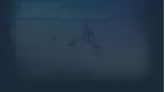 Sword&amp;Magic | Steam РУ+UA+KZ+СНГ - irongamers.ru