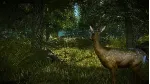 WITCHER 2: ASSASSINS OF KINGS ENHANCED EDITION (Steam РФ + CIS) - irongamers.ru