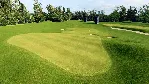 ❗ EA SPORTS PGA TOUR❗ XBOX X|S🔑 КЛЮЧ❗ 