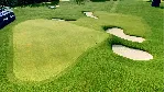 ❗ EA SPORTS PGA TOUR❗ XBOX X|S🔑 КЛЮЧ❗ 