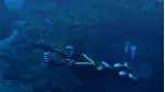 Tomb Raider: Underworld STEAM•RU ⚡ ️АВТОДОСТАВКА 💳 0%