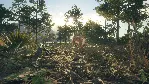 THEHUNTER: CALL OF THE WILD - RANCHO DEL ARROYO XBOX - irongamers.ru