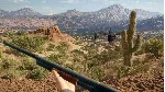 THEHUNTER: CALL OF THE WILD - RANCHO DEL ARROYO XBOX - irongamers.ru