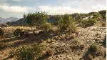THEHUNTER: CALL OF THE WILD - RANCHO DEL ARROYO XBOX - irongamers.ru