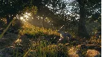 THEHUNTER: CALL OF THE WILD - RANCHO DEL ARROYO XBOX - irongamers.ru