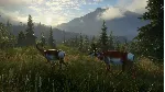 ✅ THEHUNTER™ CALL OF THE WILD - SILVER RIDGE PEAKS🔑 XBOX