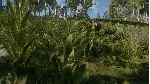 ✅ THEHUNTER™ CALL OF THE WILD - SILVER RIDGE PEAKS🔑 XBOX
