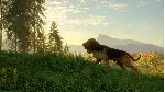✅ ❤ ️THEHUNTER: CALL OF THE WILD - BLOODHOUND❤ ️XBOX🔑 КЛЮЧ