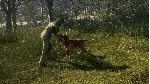 ✅ ❤ ️THEHUNTER: CALL OF THE WILD - BLOODHOUND❤ ️XBOX🔑 КЛЮЧ