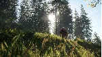 ✅ ❤ ️THEHUNTER: CALL OF THE WILD - BLOODHOUND❤ ️XBOX🔑 КЛЮЧ