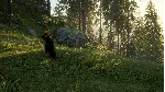 ✅ ❤ ️THEHUNTER: CALL OF THE WILD - BLOODHOUND❤ ️XBOX🔑 КЛЮЧ
