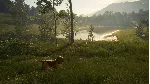 ✅ ❤ ️THEHUNTER: CALL OF THE WILD - BLOODHOUND❤ ️XBOX🔑 КЛЮЧ