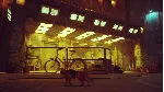 ❗ 🐱 STRAY🐈 🥇 ❗ МОМЕНТАЛЬНО ❗ XBOX+ПК🔑 КЛЮЧ❗ 