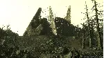 Fallout 3 - STEAM GIFT RU/KZ/UA/BY