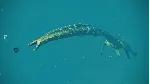 JURASSIC WORLD EVOLUTION 2: LATE CRETACEOUS PACK КЛЮЧ - irongamers.ru