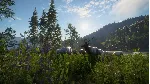 THEHUNTER CALL OF THE WILD SILVER RIDGE PEAKS❗ XBOX КОД