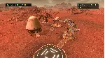DAWN OF MAN + PLANETBASE XBOX ONE/X|S КЛЮЧ - irongamers.ru