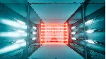 ❗ PROTOCOL❗ XBOX ONE/X|S🔑 КЛЮЧ❗ 