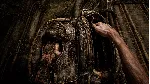 SCORN XBOX X|S+ПК КЛЮЧ - irongamers.ru