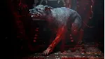 NECROMUNDA HIRED GUN GANG WARS COSMETICS BUNDLE XBOX - irongamers.ru