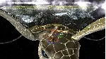 World Turtles - STEAM GIFT РОССИЯ