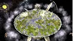 World Turtles - STEAM GIFT РОССИЯ