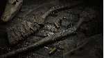 Hunt: Showdown - Cold Blooded DLC * STEAM RU ⚡ 