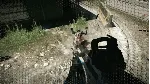 Crysis 2 Remastered| АВТОДОСТАВКА [Россия Steam Gift] - irongamers.ru