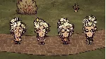 Don&acute;t Starve Together: Wanda Deluxe Chest DLC - irongamers.ru