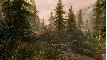 The Elder Scrolls V: Skyrim Special Edition * STEAM RU - irongamers.ru