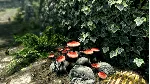 The Elder Scrolls V: Skyrim Special Edition * STEAM RU - irongamers.ru