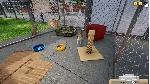 ❗ ANIMAL SHELTER SIMULATOR❗ XBOX ONE/X|S🔑 КЛЮЧ❗ 