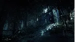 ❗ BLAIR WITCH❗ XBOX ONE/X|S+ПК🔑 КЛЮЧ❗ 