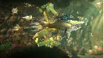 ❗ HUNGRY SHARK WORLD❗ XBOX ONE/X|S🔑 КЛЮЧ❗ 