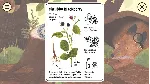 LITTLE MOUSE&acute;S ENCYCLOPEDIA + CLUMSY RUSH XBOX КЛЮЧ - irongamers.ru