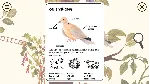 LITTLE MOUSE&acute;S ENCYCLOPEDIA + CLUMSY RUSH XBOX КЛЮЧ - irongamers.ru